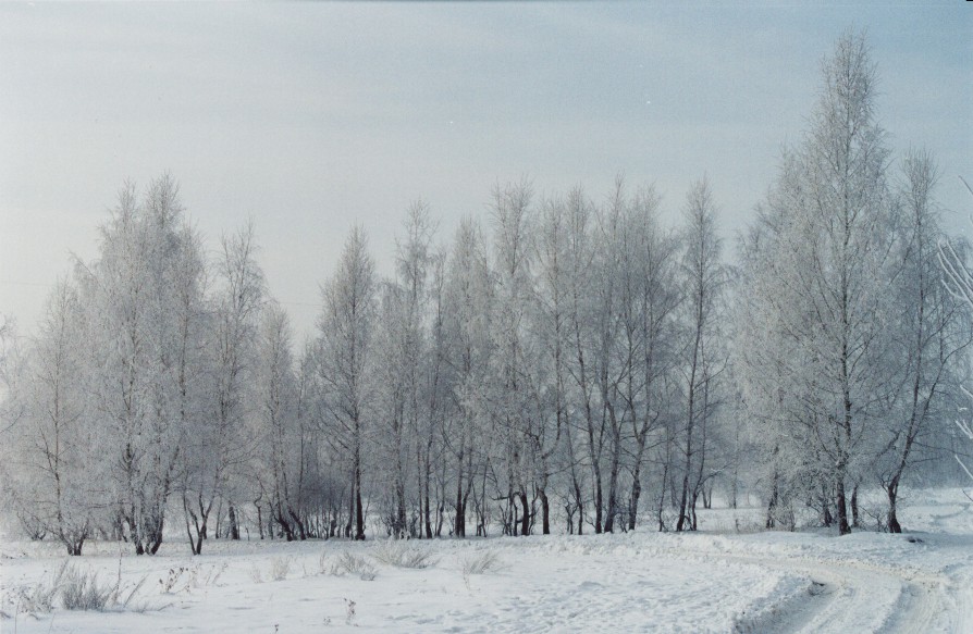 Zima 2002